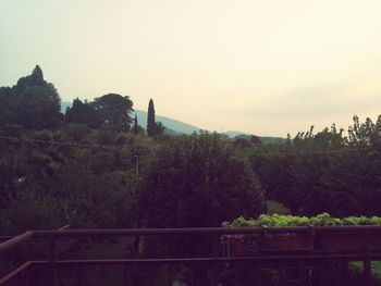 Scenic view of landscape against clear sky