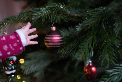 Close-up of christmas decorations hanging on tree