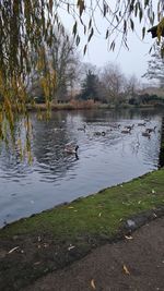 Scenic view of lake