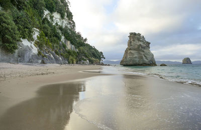 Te hoho rock at a coastal area named cathedral cove
