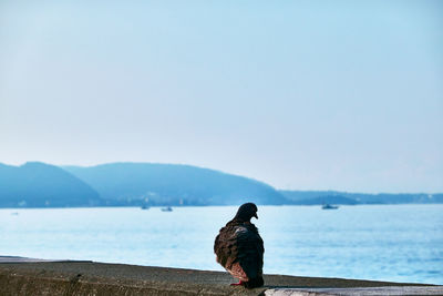 Rear view of bird perching on the sea against sky