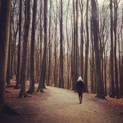 Full length rear view of person walking on footpath in forest