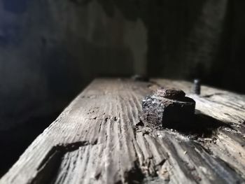 Close-up of wood on table