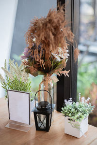 Potted plants on table at home