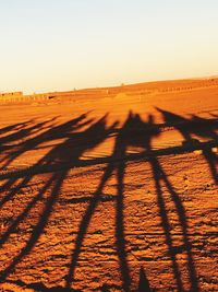 Shadow on sand at beach against sky