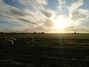 Scenic view of field against sky during sunset