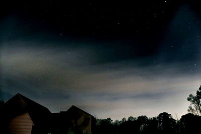 Low angle view of trees against sky at night