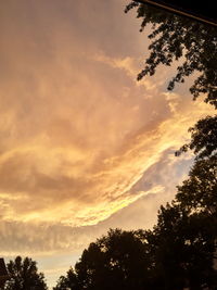 Low angle view of silhouette trees against sky during sunset