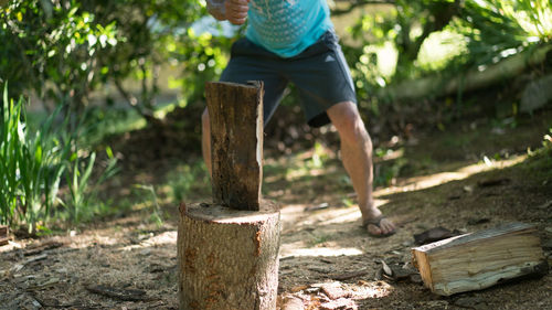 Low section of child on tree