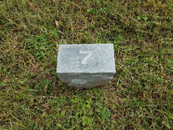 High angle view of stone on field