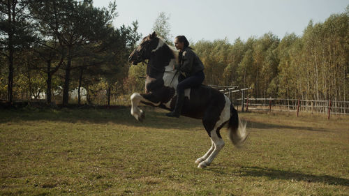 Young man riding horse on field