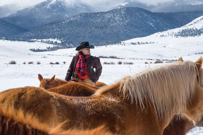 Woman sitting on horse at landscape during winter