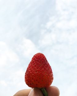 Close-up of hand holding strawberry against sky