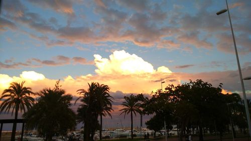 Silhouette palm trees against sky during sunset