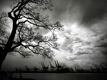 Silhouette tree by sea against sky