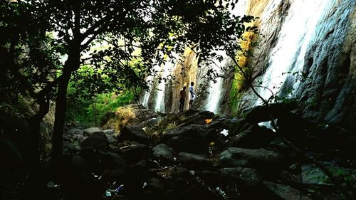Scenic view of waterfall