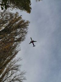 Low angle view of airplane flying in sky