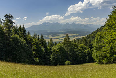 Panoramic view of landscape against sky