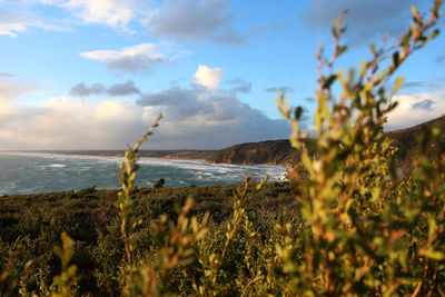 Scenic view of sea against sky