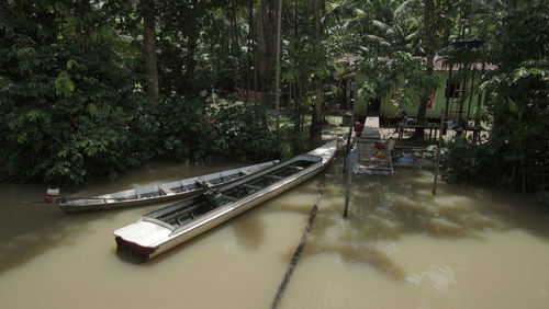 Boat on trees by lake