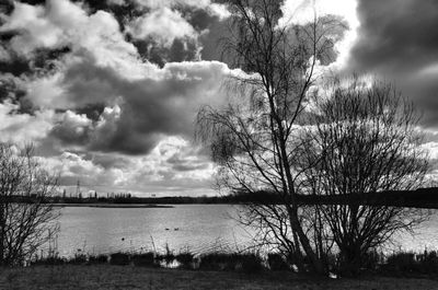 Bare trees on landscape against cloudy sky