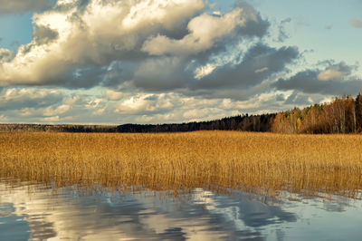 Scenic view of field against sky