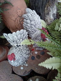 High angle view of flowering plants