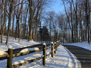 Bare trees on snow covered field against sky