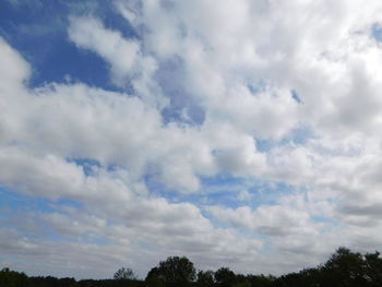 Low angle view of trees against sky