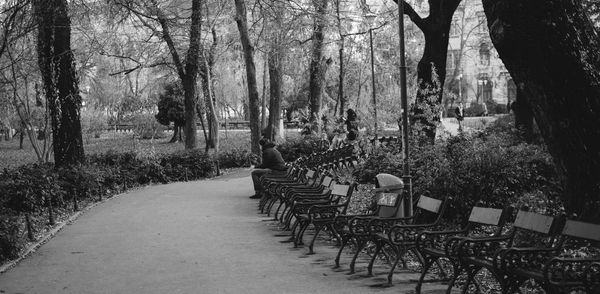 Empty chairs and tables against trees