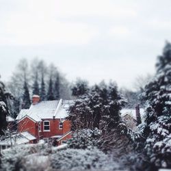 House with trees in background