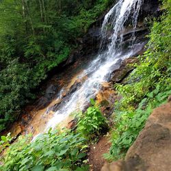 Scenic view of waterfall in forest