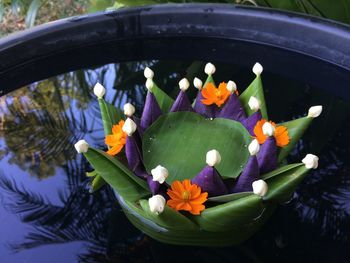 Close-up of multi colored flowers on water