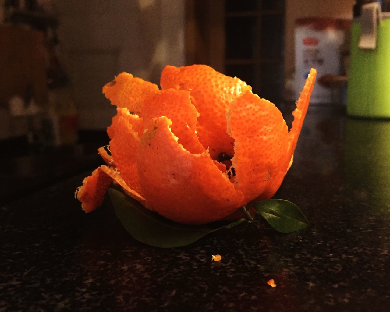 orange color, freshness, no people, close-up, healthy eating, flower, nature, flower head, indoors, day