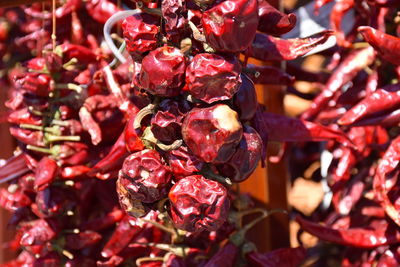 Close-up of red chili peppers