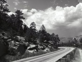 Empty road along trees