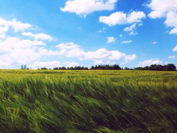 Scenic view of field against cloudy sky