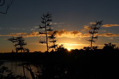 Silhouette trees against sky during sunset