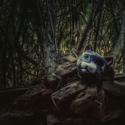 Close-up of an animal representation on tree trunk in forest