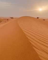 Scenic view of desert against sky during sunset