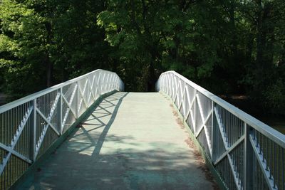 Footbridge amidst trees in forest