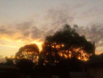 Silhouette trees against sky during sunset