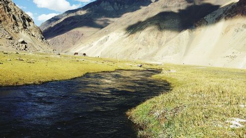 Scenic view of landscape