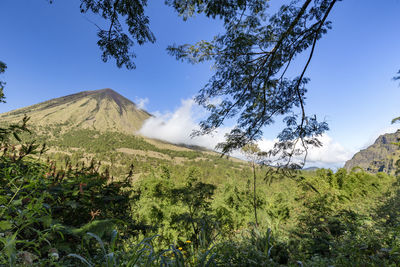 Scenic view of landscape against clear blue sky