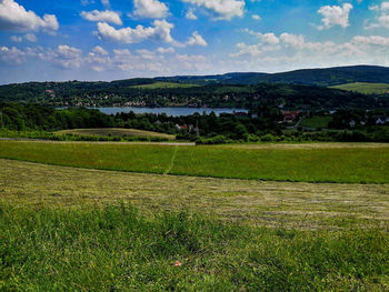 Scenic view of field against sky