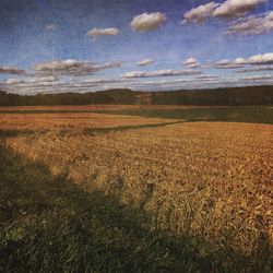 Scenic view of field against cloudy sky