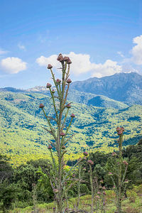 Scenic view of mountains against sky