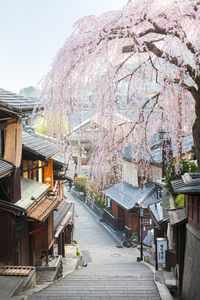 Street amidst buildings in town against clear sky