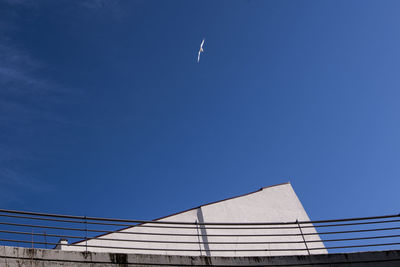 Low angle view of birds flying against blue sky