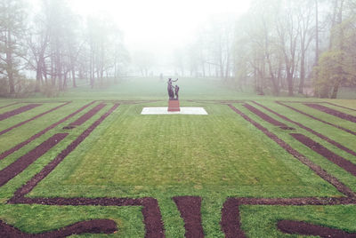 Man standing in park